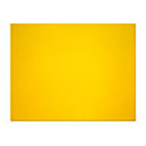 Bristol Board Neon Orange