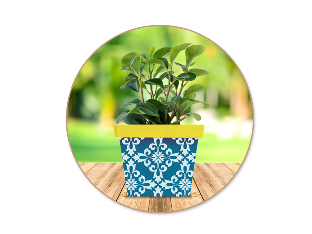 Wood Craft: 7.3"/6.1"/4.9" DIY Garden Pot Square Set/3