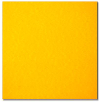 BRISTOL BOARD - FLOR ORANGE 22" X 28" 627027 5310