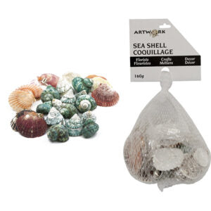Sea Shells