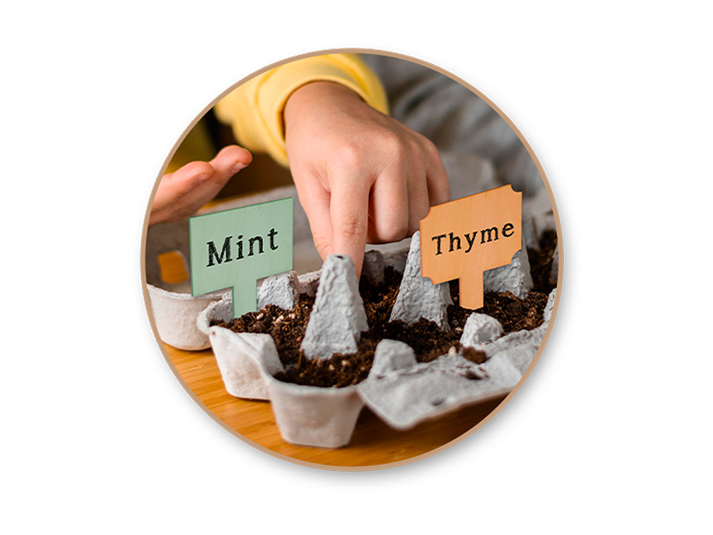 Wood Craft: Craft/Garden Sign Stakes 5"x3" 5ct B) Rect Cut Corners