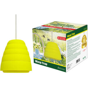 Wasp Trap