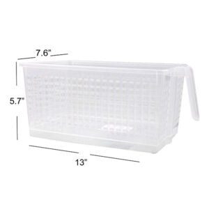 Basket GLORY with Handle