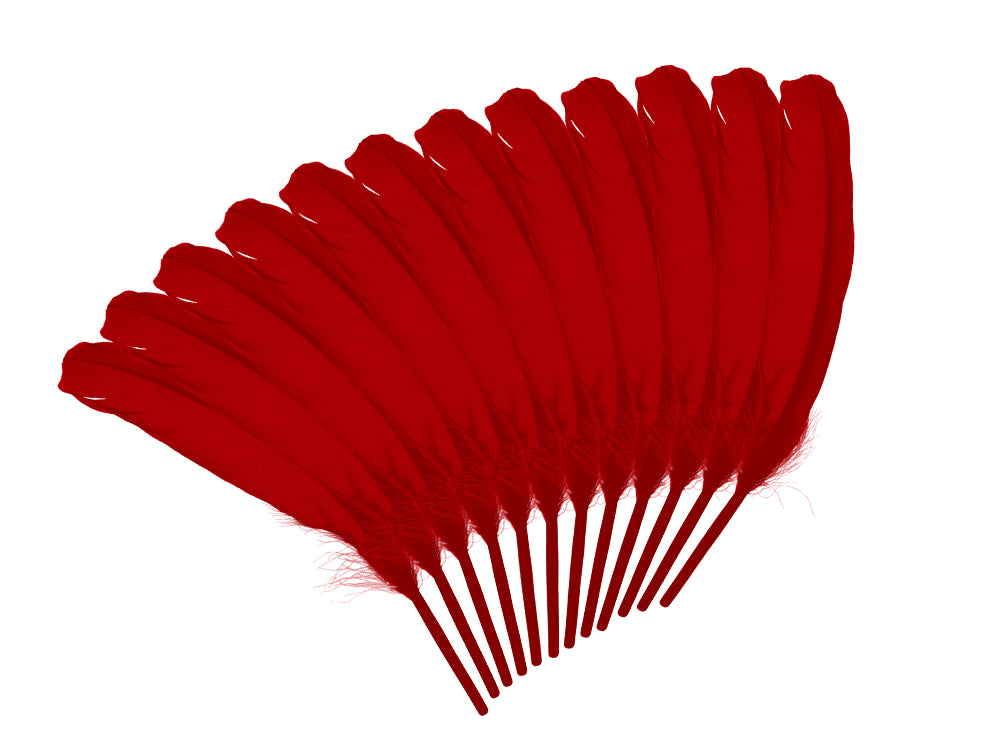 Feather Craft: 8" Goose Feathers x12 G) Red