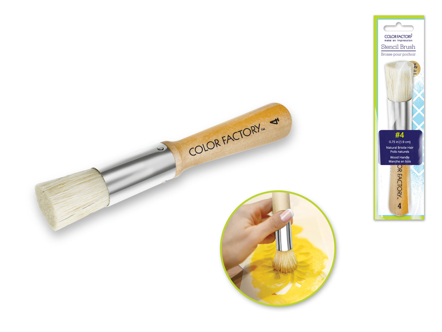 Color Factory: 3/4" Stencil Brush (#4) Wood Handle, Metal Studded Ferrule