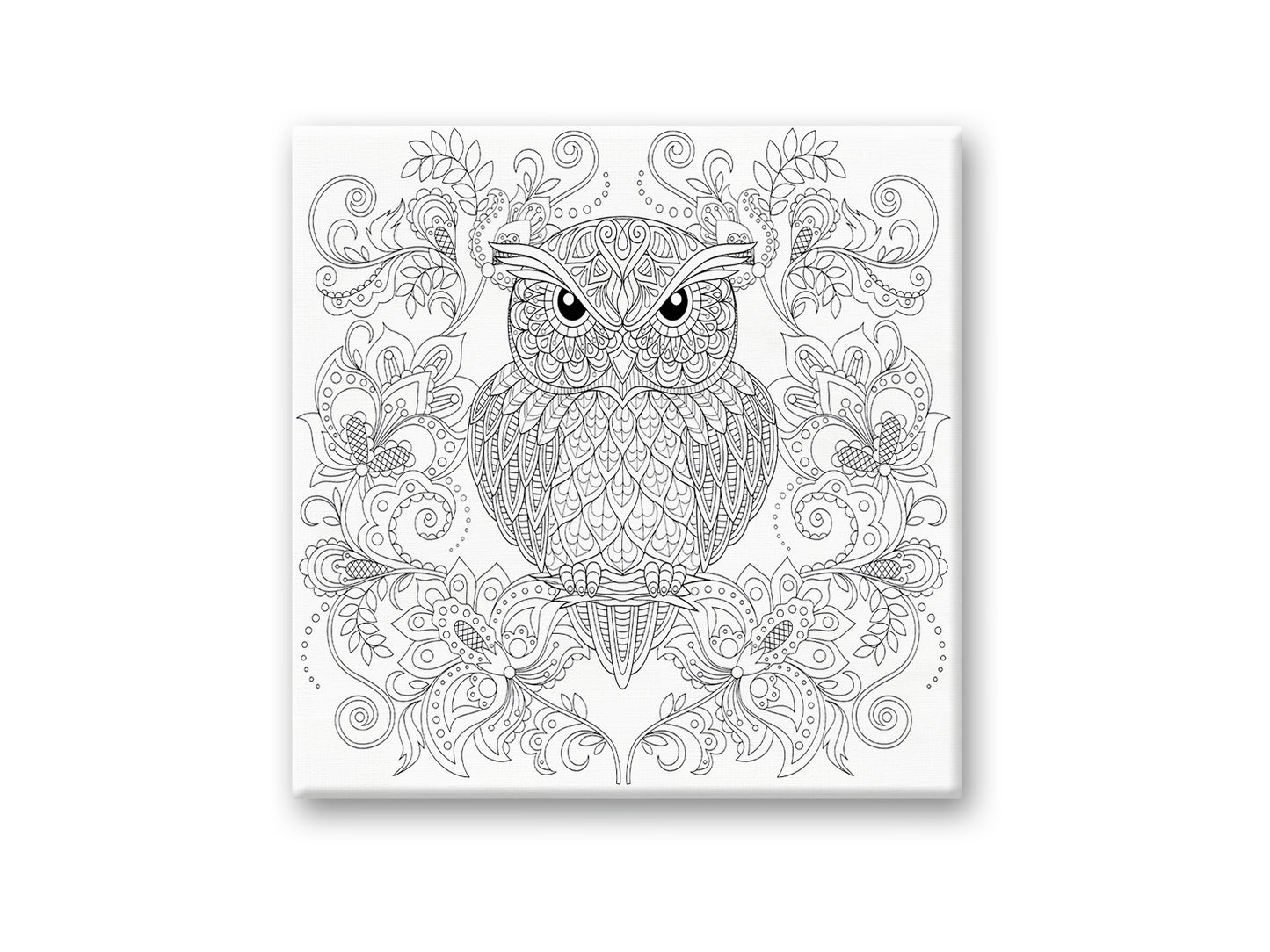 Stretch Artist Printed Canvas: 12"x12" Primed Back-Stapled E) Owl