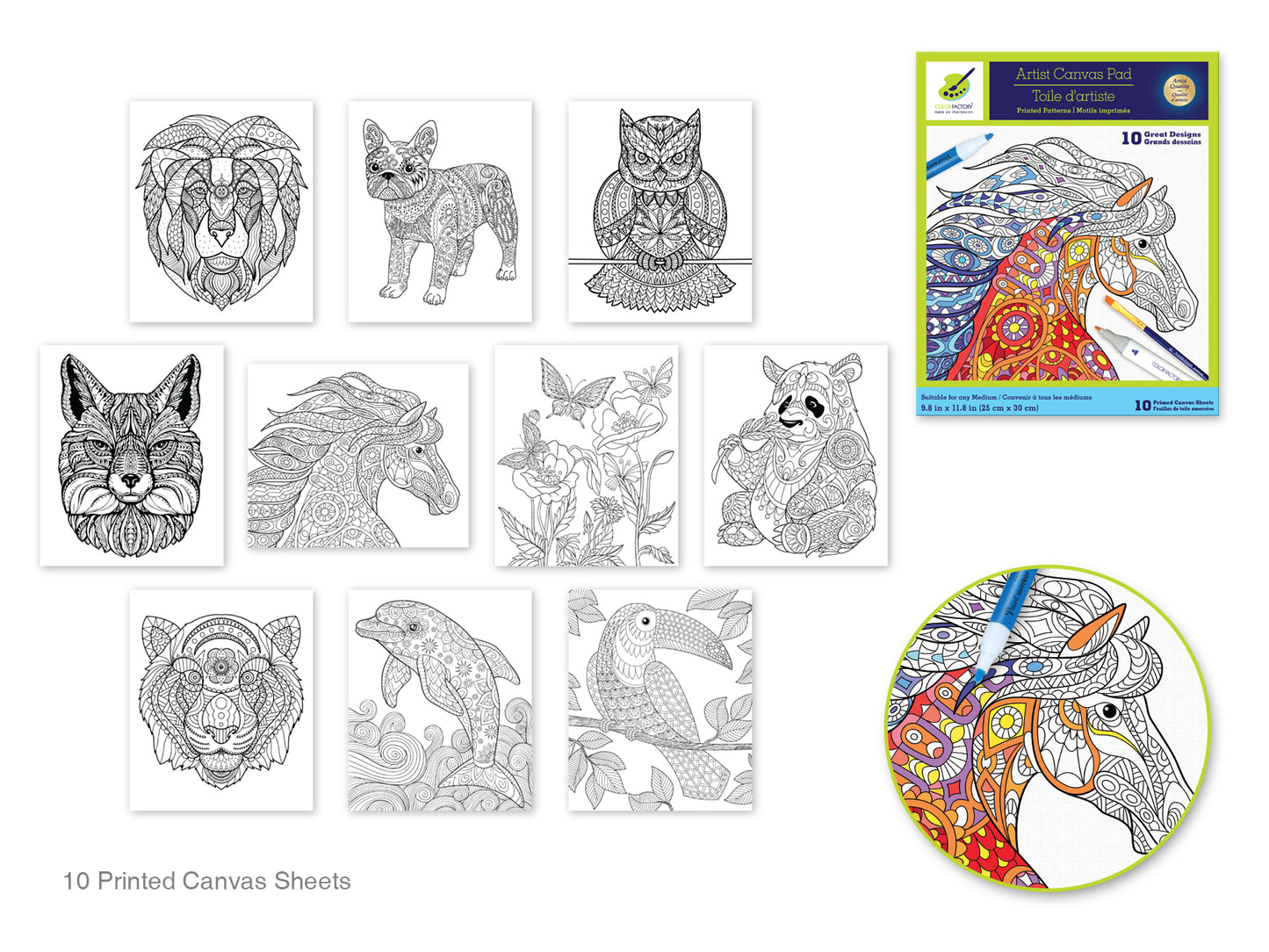 Color Factory: 9.8"x11.8" Canvas Pad w/Design Outlines 10Sheet Asst A) Animal Kingdom