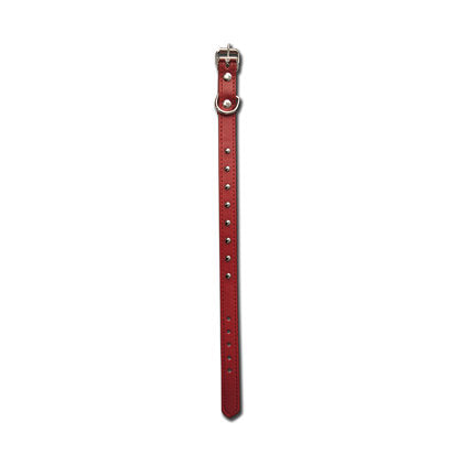 DOG COLLAR - 13"x 5/8" RED