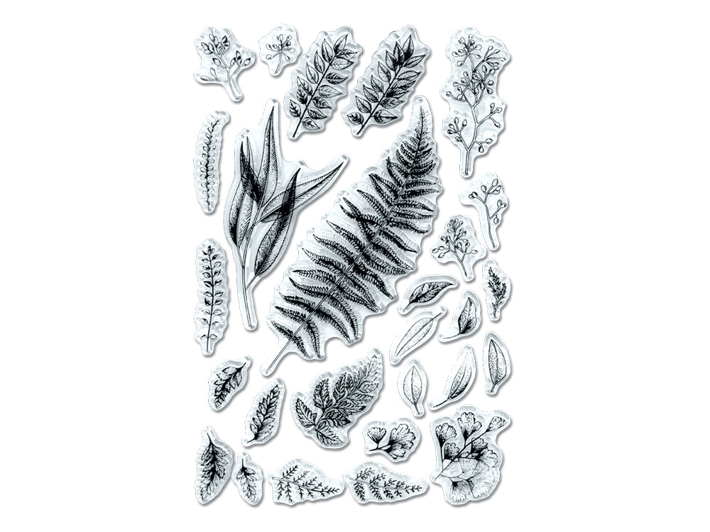 Clear Stamps: 4.3"x6.3" Reusable W) Vines