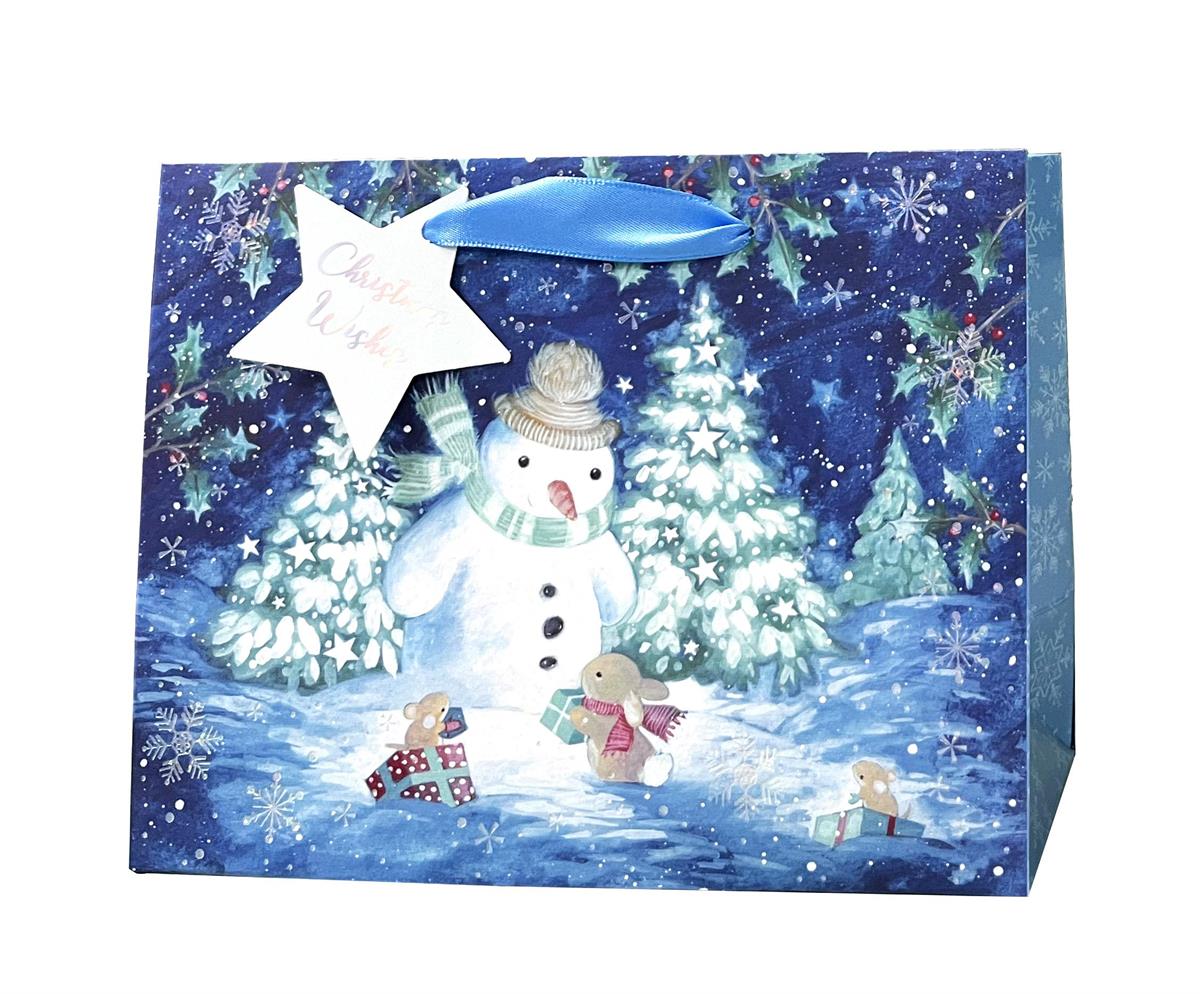 Paper T. Xmas DLX Gift Bag, X-Wide Horizontal, HS, j-hook+tag