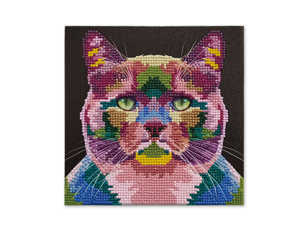 Stretch Artist Diamond Painting Canvas Kit: 7.9"x7.9" Primed Back-Stapled A) Cat