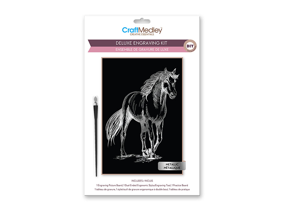 Craft Medley Kit: Deluxe Engraving Art DIY Kit G) Metallic~ Horse