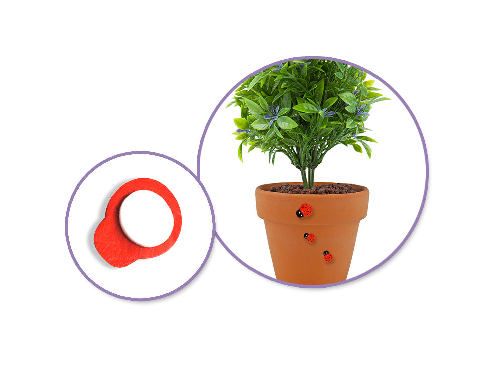 Paper Craft Embellishment: Mini Plastic Ladybugs x24 Peel-n-Stick 1/2"-3/4"