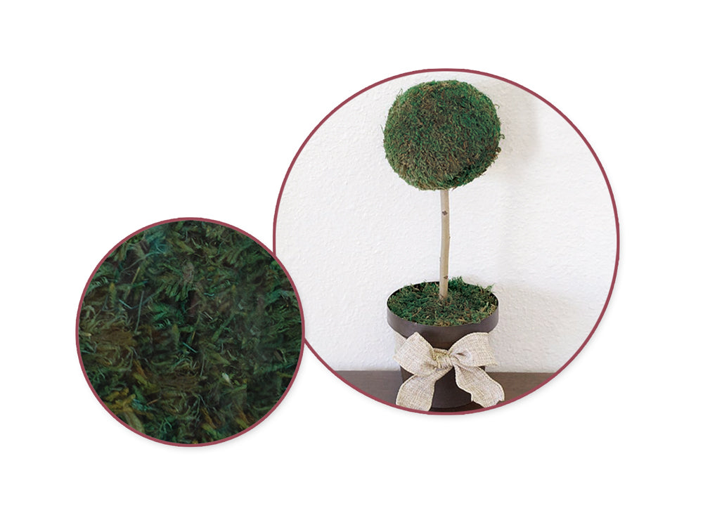 Craft Decor Dried Naturals: 2oz Colored Floral Moss (60gms) B) Wild Moss Green