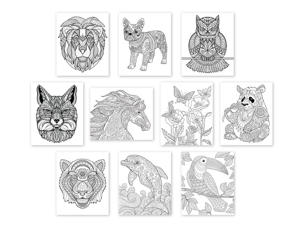 Color Factory: 9.8"x11.8" Canvas Pad w/Design Outlines 10Sheet Asst A) Animal Kingdom