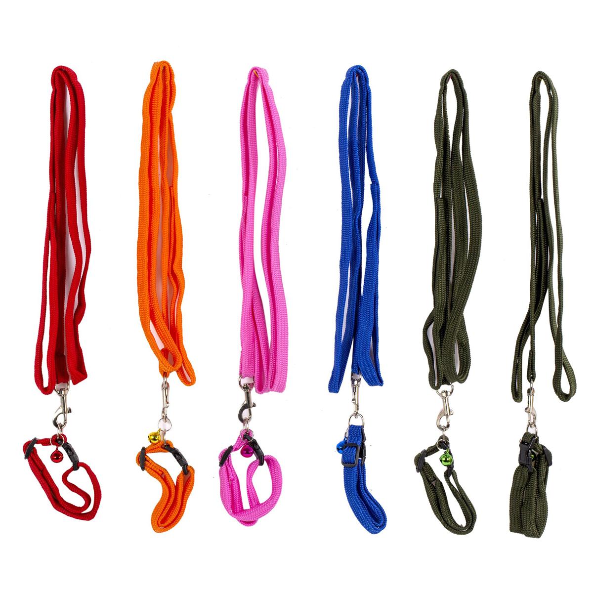 PAWS.1.2m Pet Leash w/Collar,6 col. (A312685)