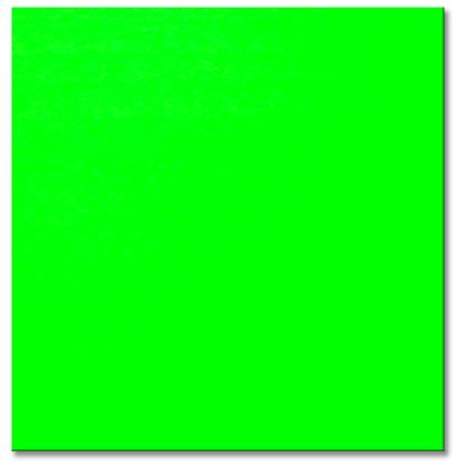 BRISTOL BOARD - FLOR GREEN 22" X 28" 627027 53106