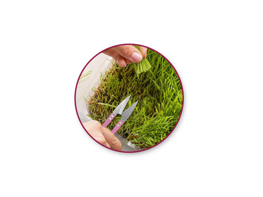 Craft Decor: Floral Snipping Shears 4.25"