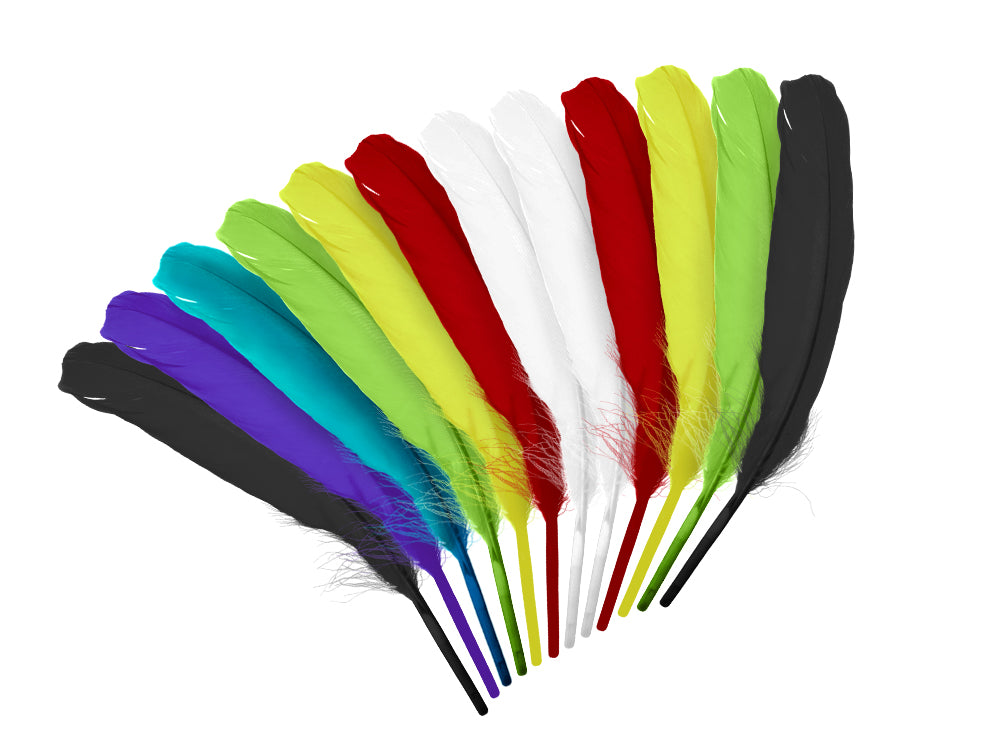 Feather Craft: 8" Goose Feathers x12 I) Multi Mix