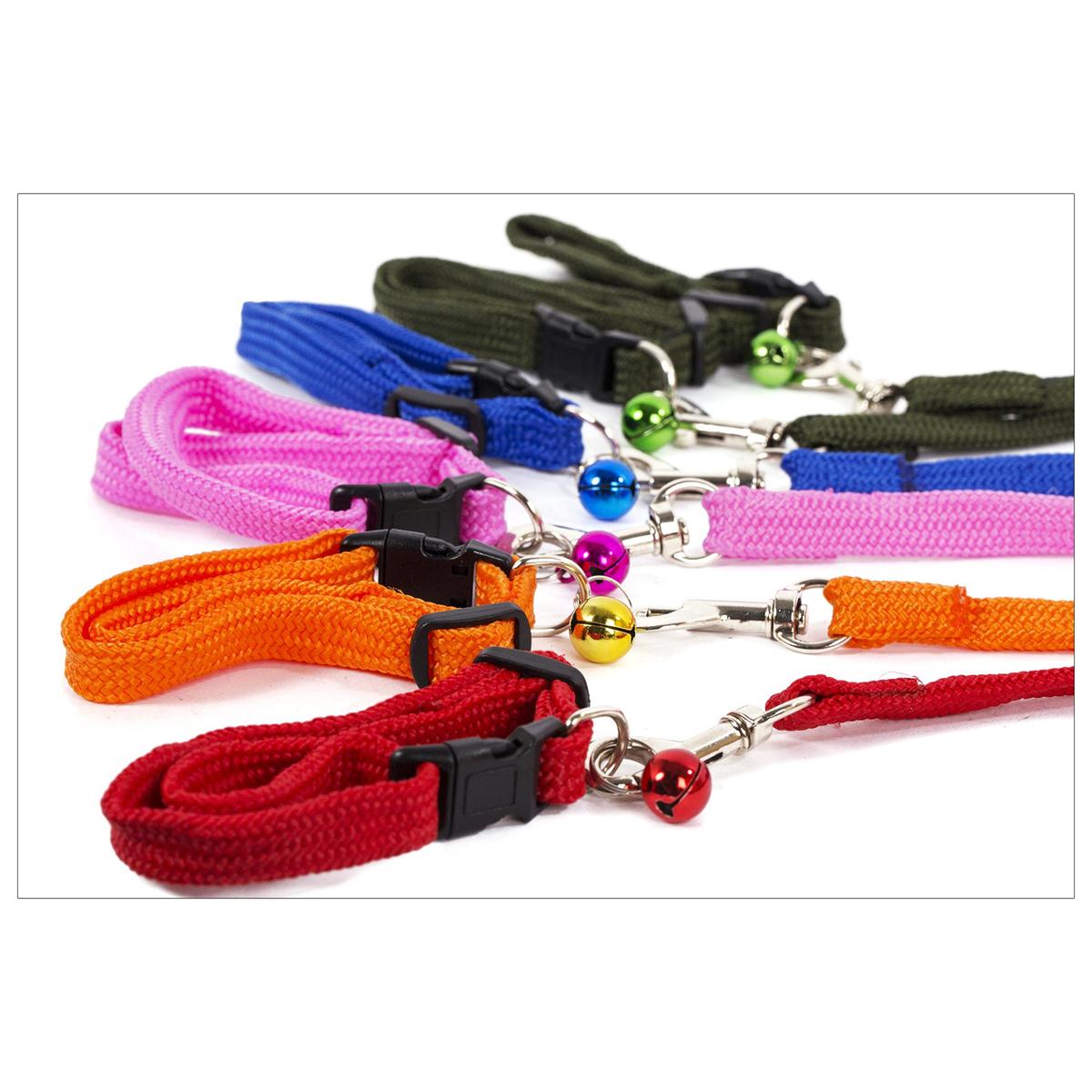 PAWS.1.2m Pet Leash w/Collar,6 col. (A312685)
