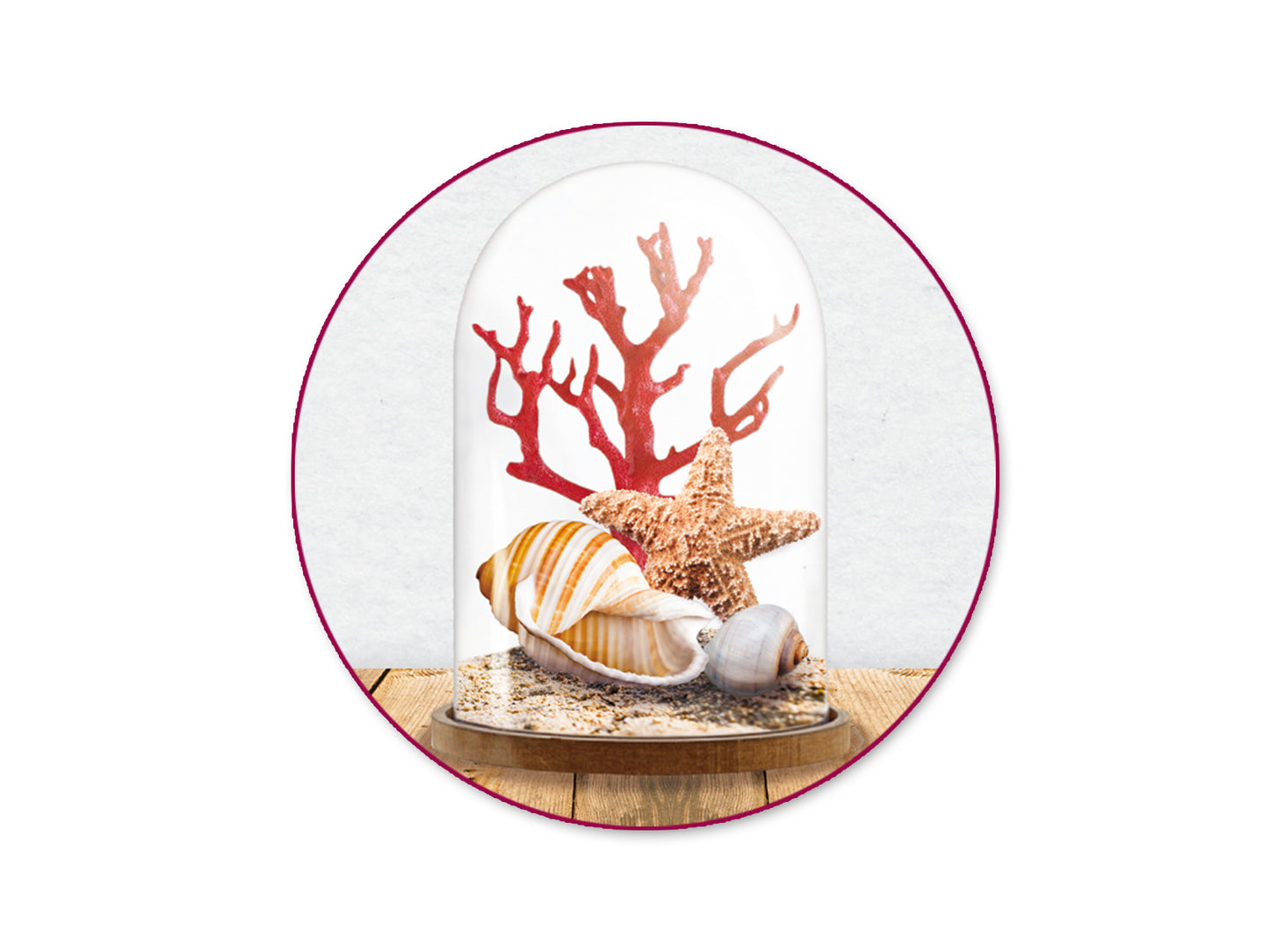 Craft Décor: 12cmx8cm DIY Clear Plastic Dome w/Wood Base