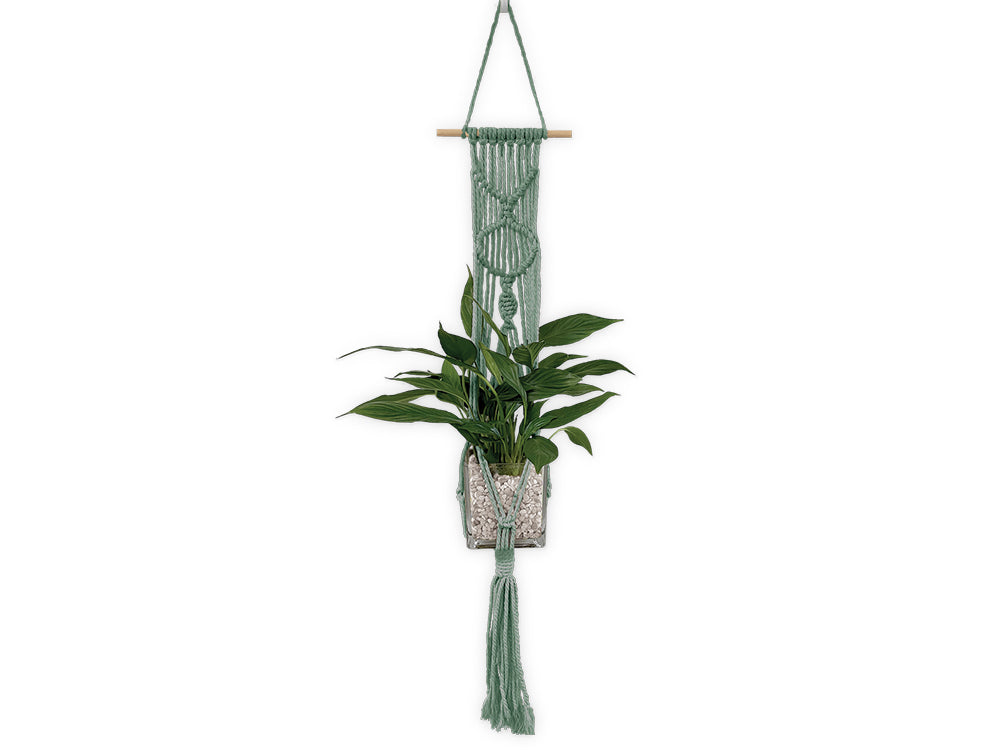 Craft Decor: DIY Macramé Planter Hanger Kit w/Wood Dowel B) Sage