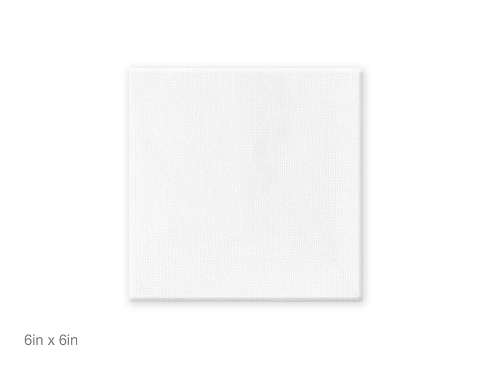 Stretch Artist Canvas: Square 6"x6" Primed Back-Stapled