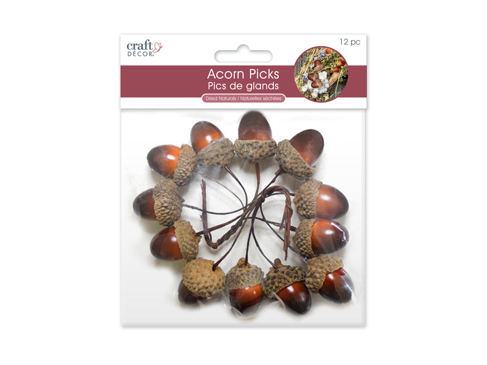 Craft Decor: 1" Acorn Pick 12pc