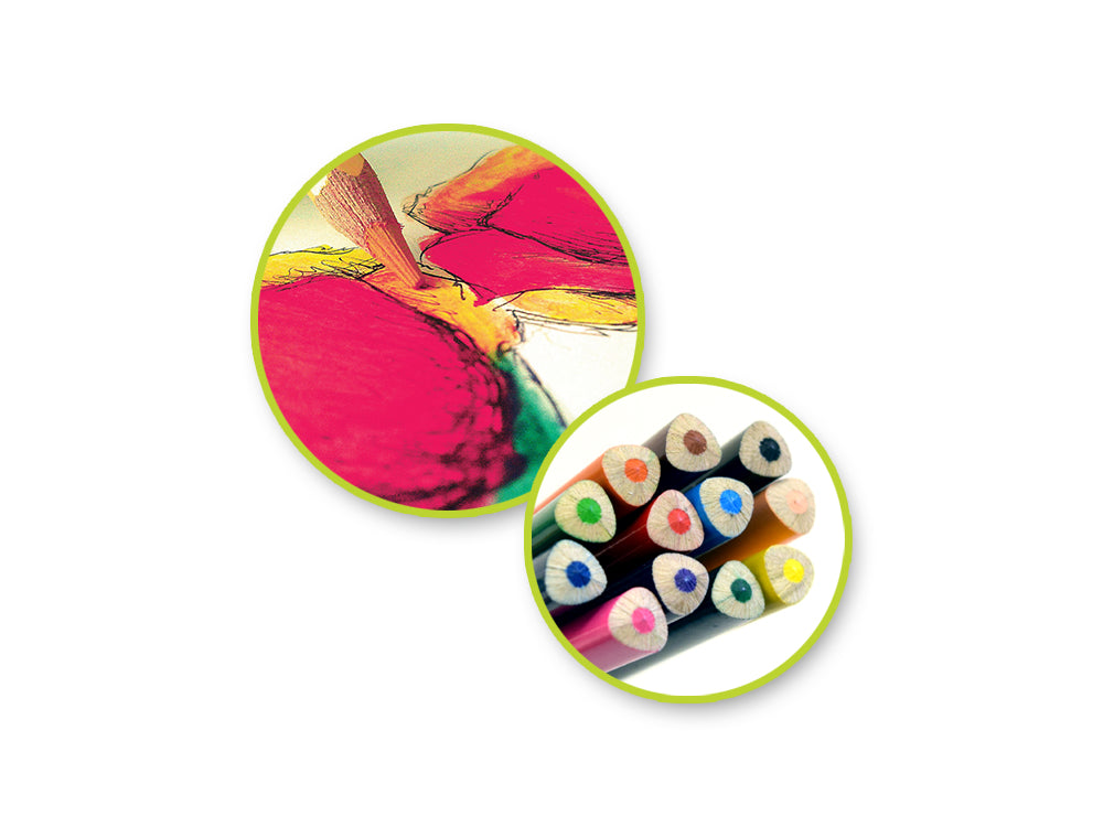 Color Factory Tool: Color Pencils x12 Premium 3.0mm