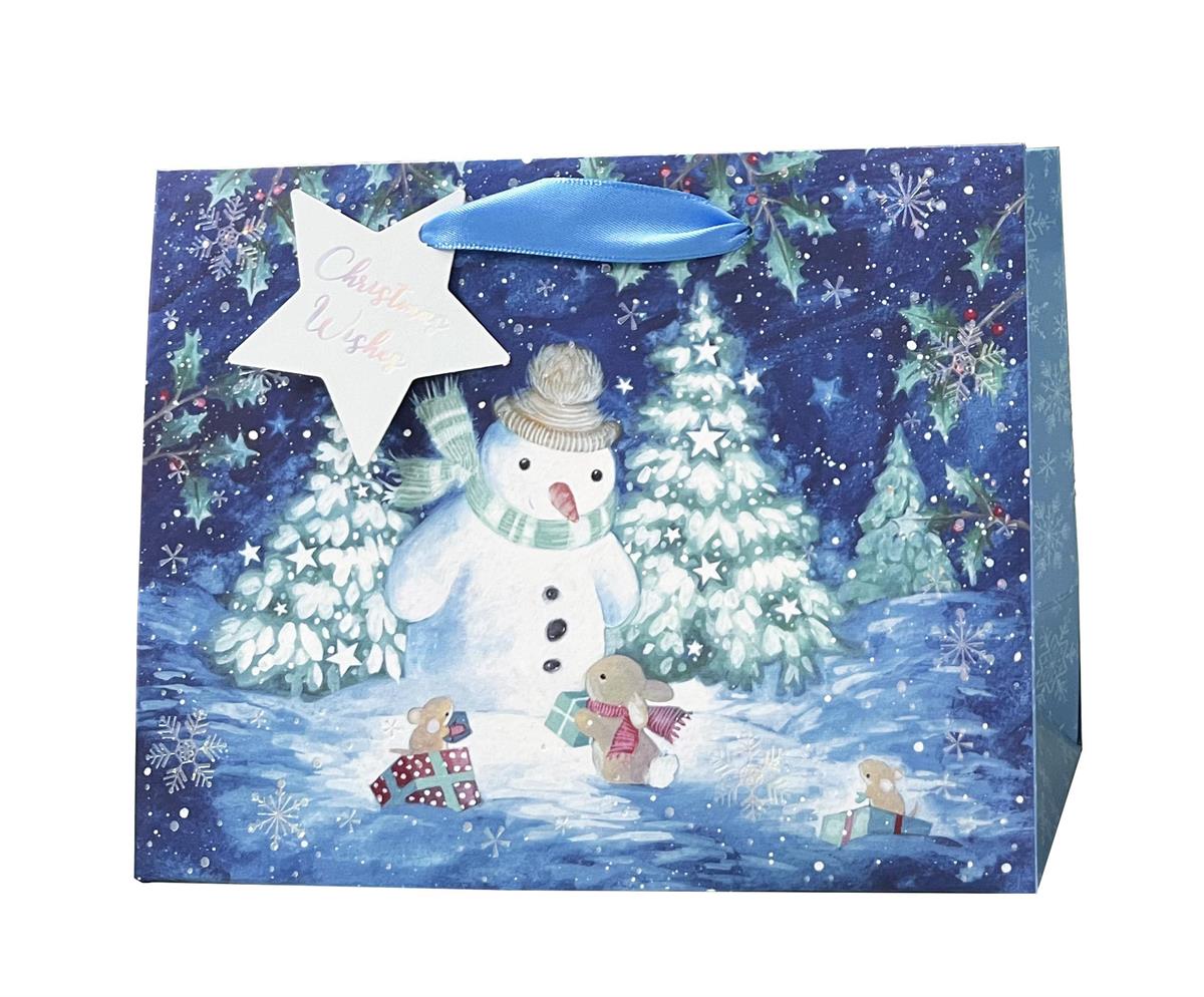 Paper T. Xmas DLX Gift Bag, Large Horizontal, HS, j-hook+tag