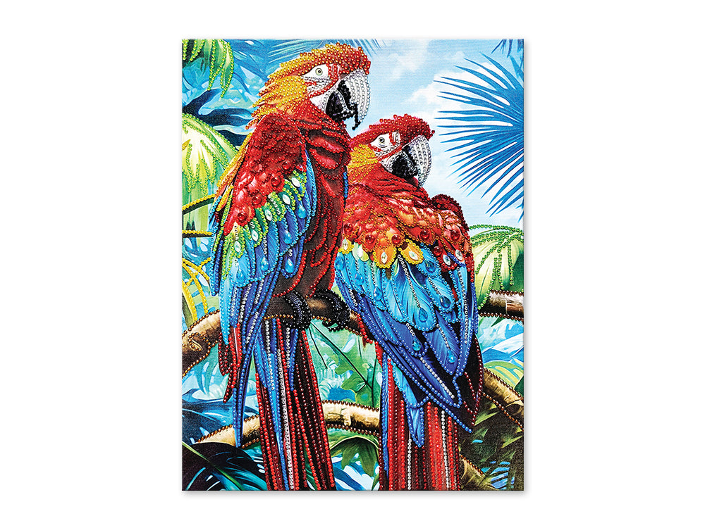 Craft Medley Kit: Diamond Painting Art Kit 12"x16" w/Gems+Tool+Tray P) Parrots
