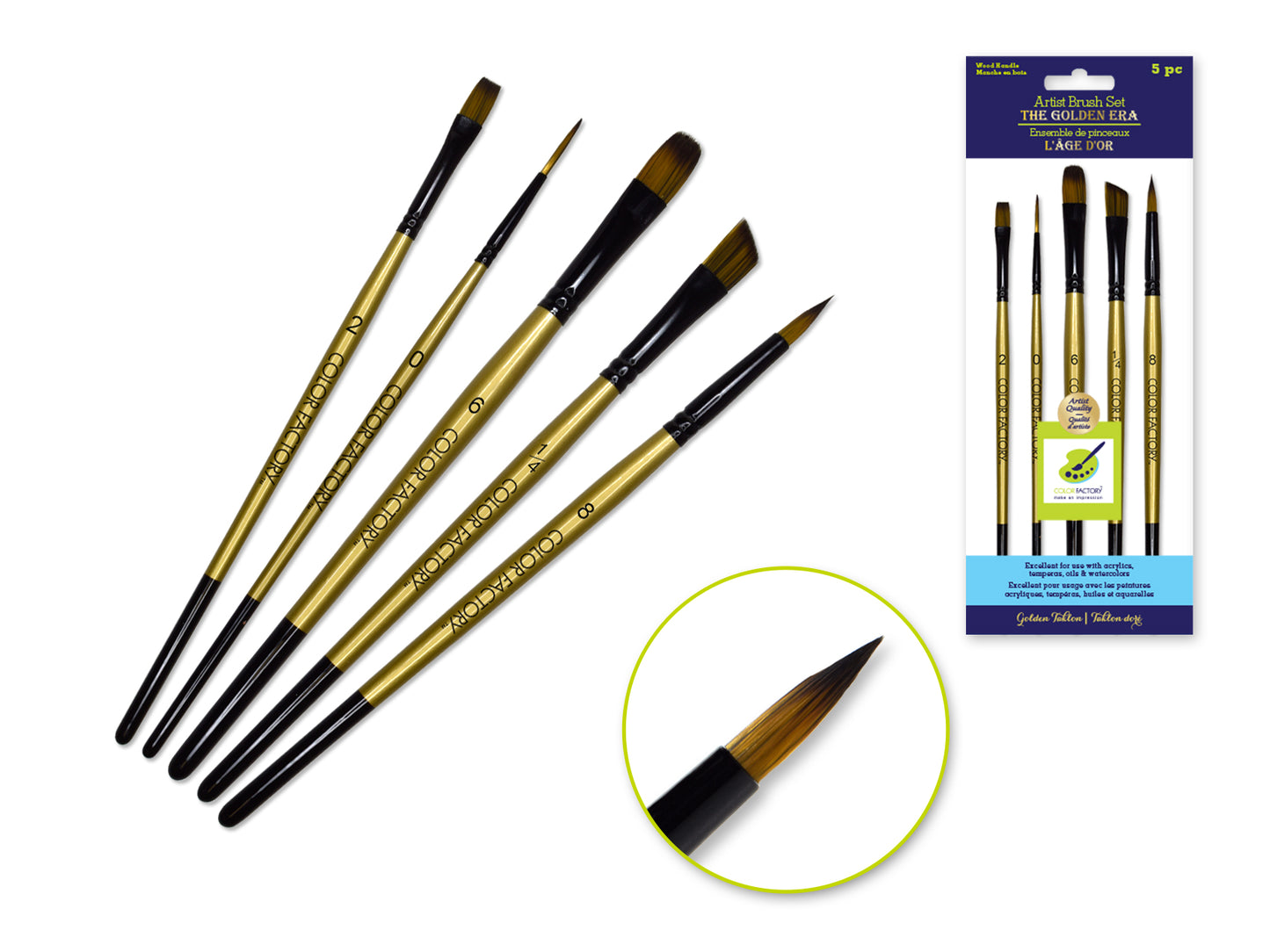 Artist Brush Set: The Golden Era Set x5 Wood Handle B) Detail