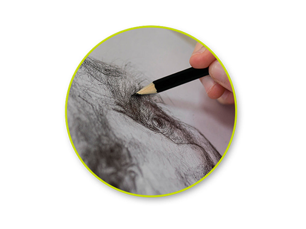 Color Factory Tool: Graphite Pencils Medium x10 in Tin Box