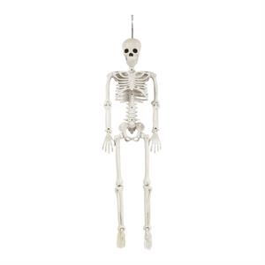 G.Ghoul 36" Posable Skeleton w/ Movable Joint, hangtag