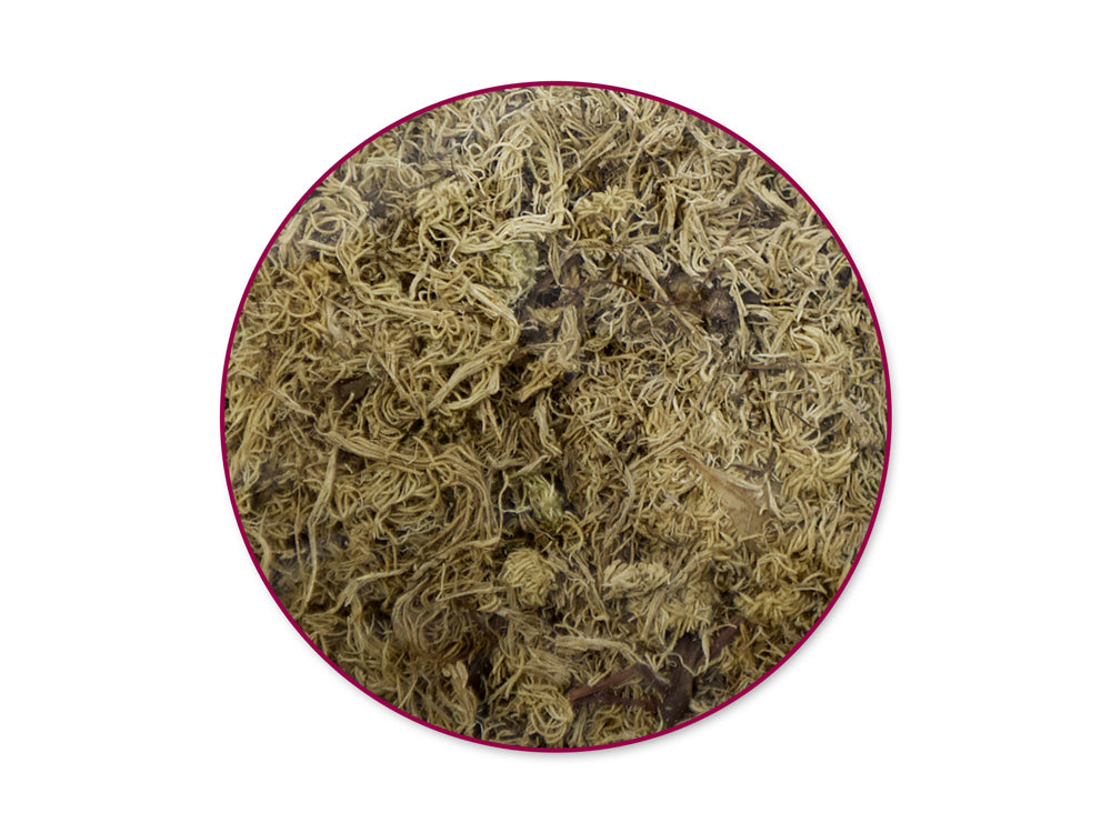 Craft Decor Dried Naturals: 1.76oz Micro-Strand Spanish Moss Natural
