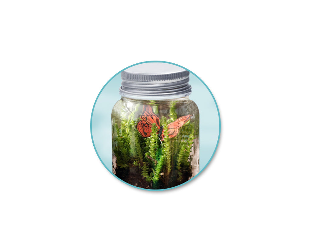 Craft Storage: 4.5x6.7cm (60ml) DIY Mini Plastic Mason Jar x2/AlumTop