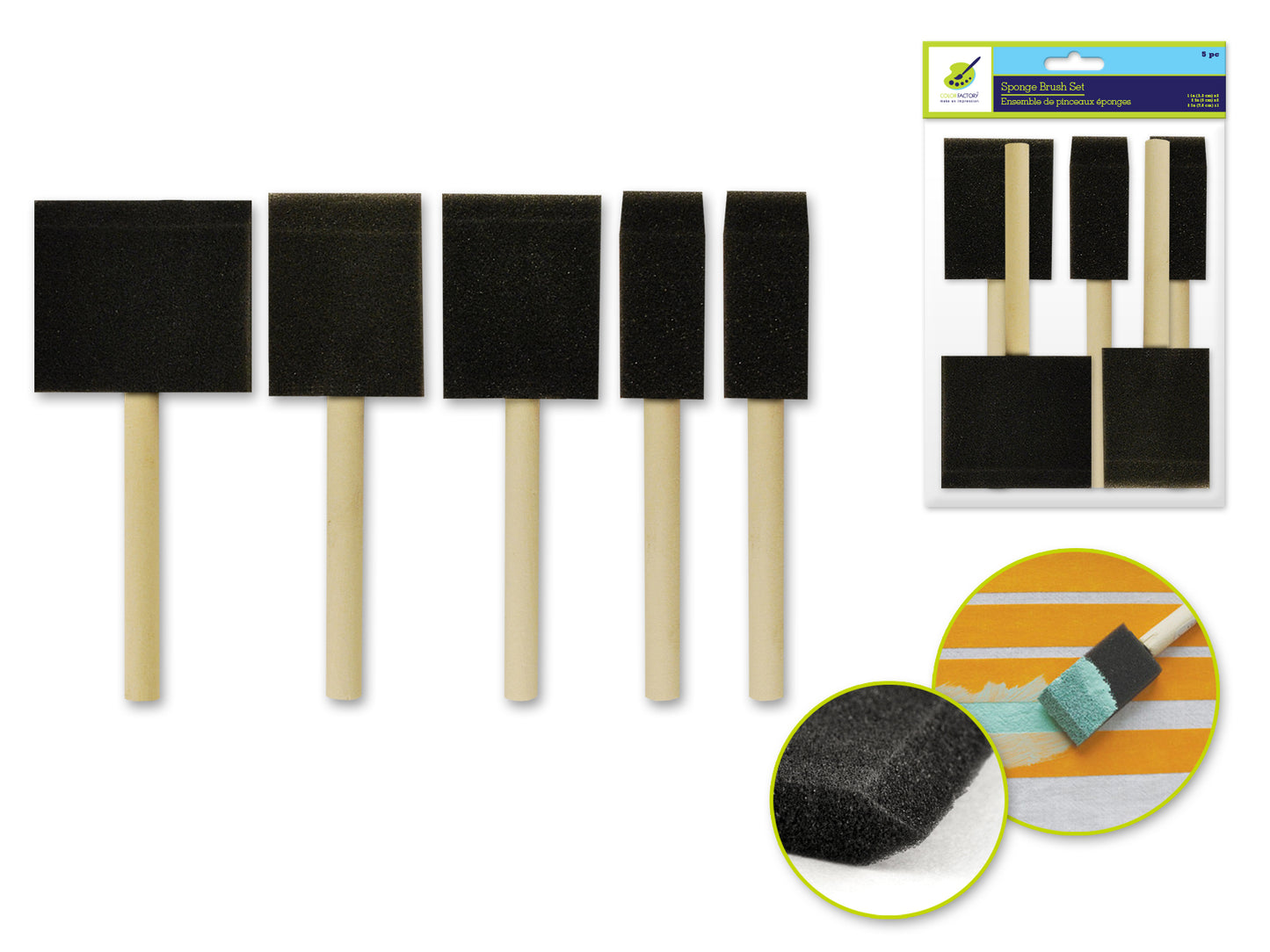 Color Factory: Sponge Brush 5/pk 1"+2"+3" w/Wood Handle