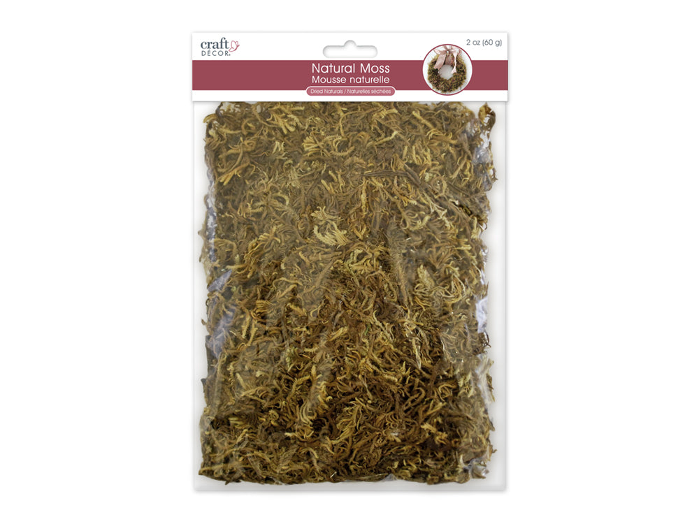 Craft Decor Dried Naturals: 2oz Natural Indian Moss (60gms)