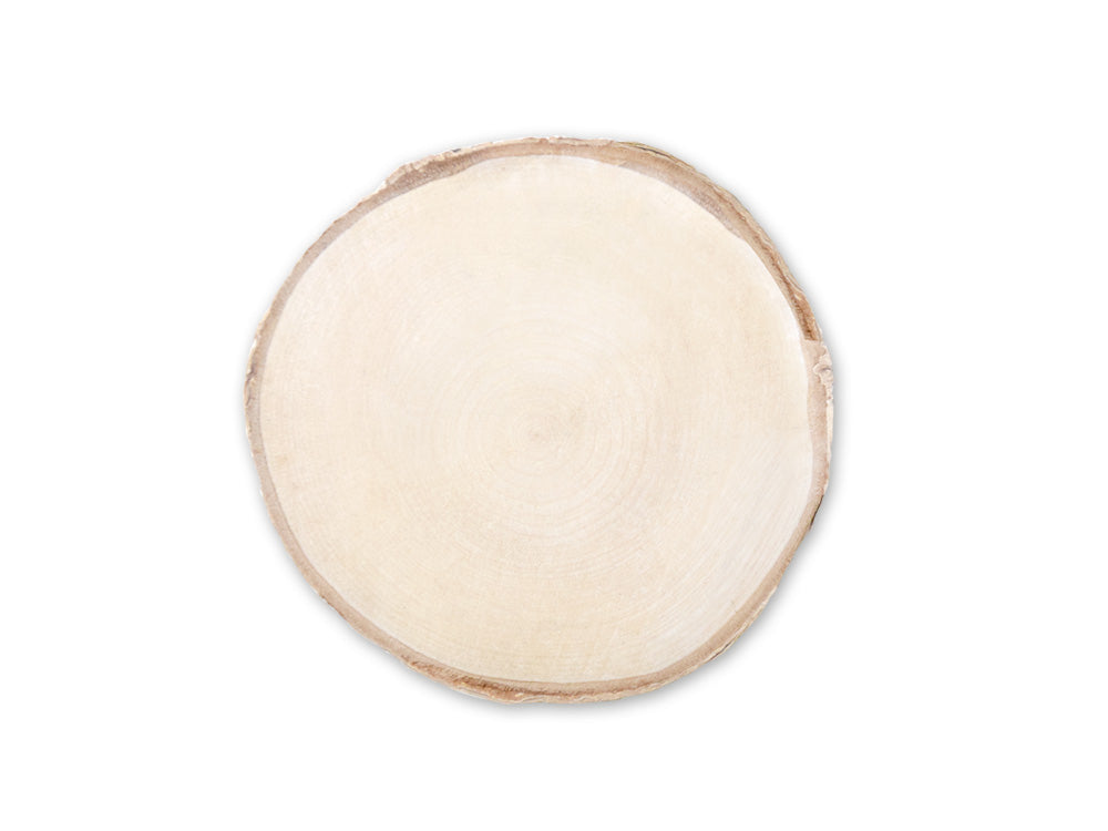Craftwood: 13cm-15cm Natural Birch Slice 1.2cm(T)
