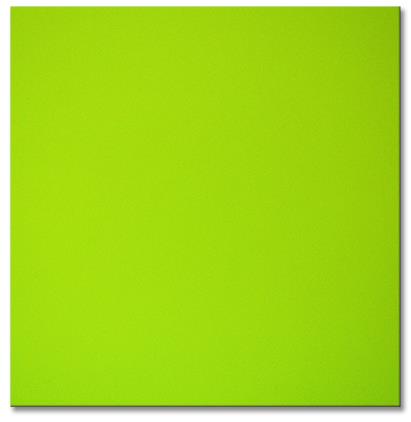 BRISTOL BOARD 4PLY-LIGHT GREEN 22" X 28" 627027 5