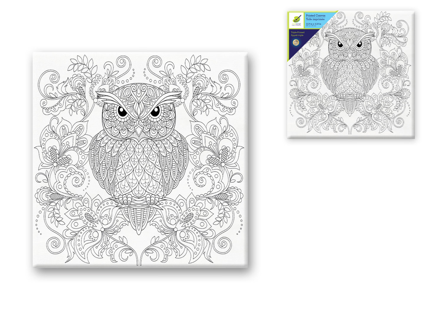 Stretch Artist Printed Canvas: 12"x12" Primed Back-Stapled E) Owl