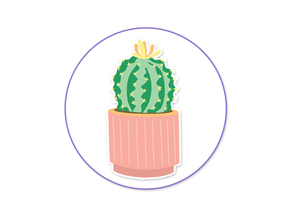 Paper Craft Sticker: 5"x12" Classic Themes 'Clear' Photo Safe 12) Generation Z