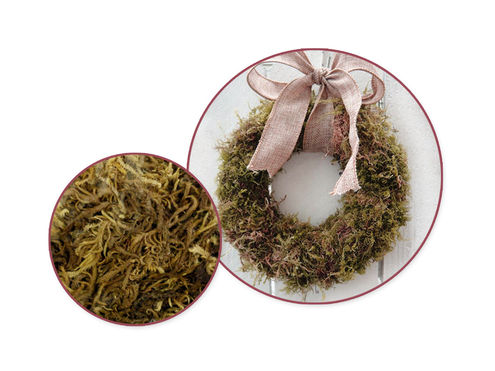 Craft Decor Dried Naturals: 2oz Natural Indian Moss (60gms)