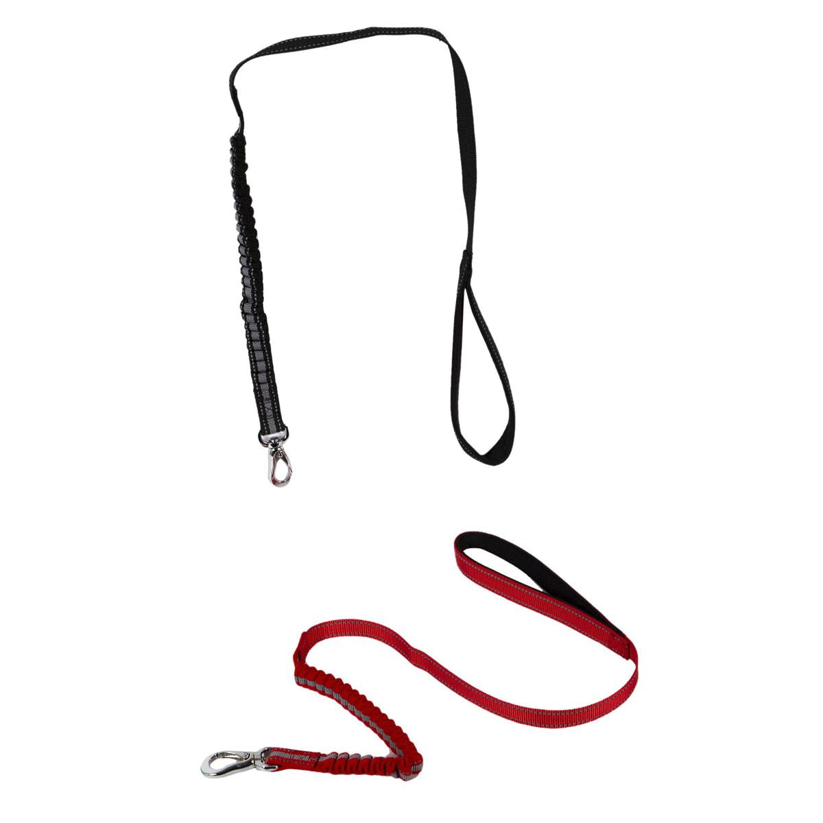 PAWS Anti-Shock Dog leash 38' , 2/s, tie-on-card, (HZ)