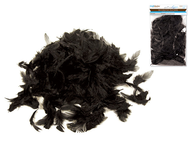 Feather Craft: 12g Craft Feathers 2"-3.5" A) Black