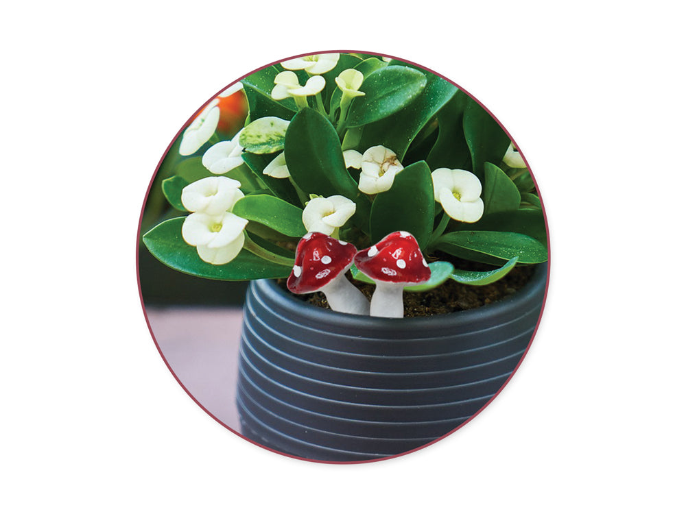 Craft Decor: Mini Foam Mushroom Picks 12pc (2cmx6/2.5cmx6)