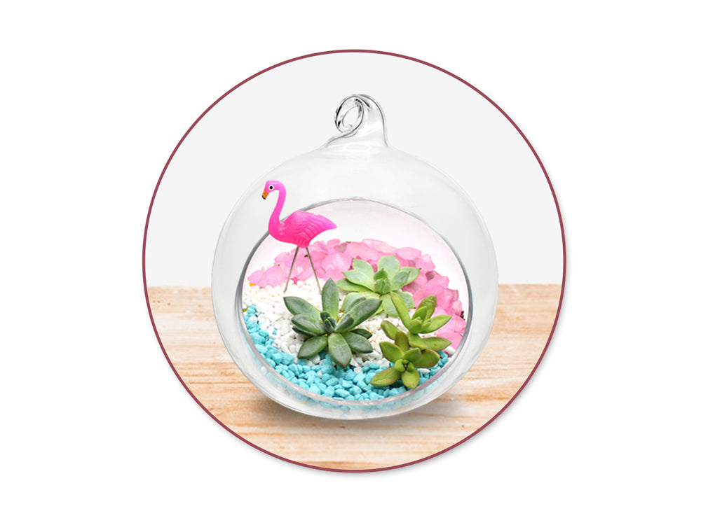 Craft Décor: 8cm DIY Terrarium Clear Ornamental Glass Ball