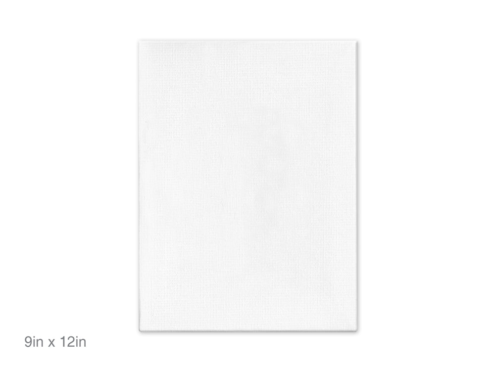 Canvas Panels Primed: 9"x12" Artist Quality