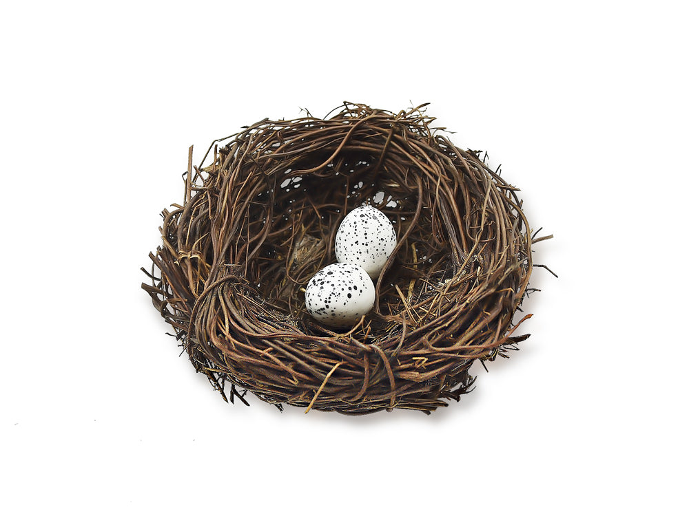 Craft Decor: 10cm Natural Twig Nest w/2 Speckled Eggs