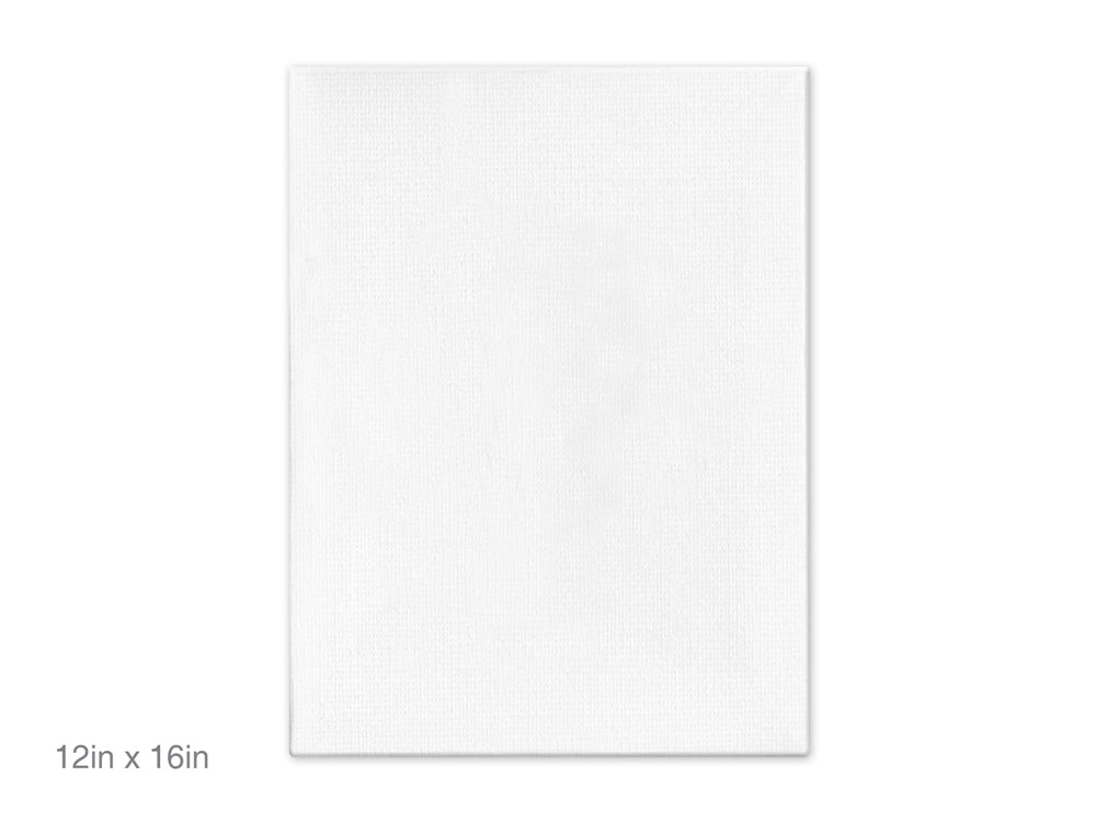 Canvas Panels Primed: 12"x16" Artist Quality